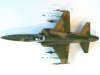 Hasegawa B3 F-20 Tigershark (1:72)